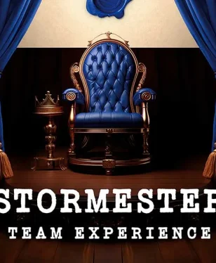 Stormester Team Experience